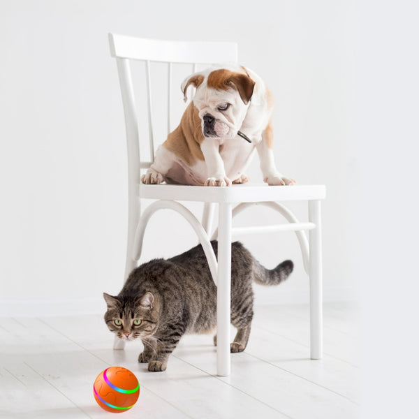 Pet New Cat Wicked Ball - Intelligent, Self-Rotating USB Cat Toy