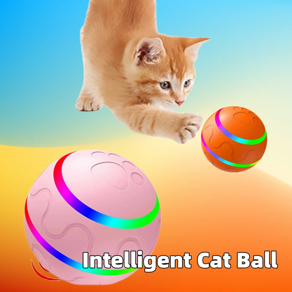 Pet New Cat Wicked Ball - Intelligent, Self-Rotating USB Cat Toy